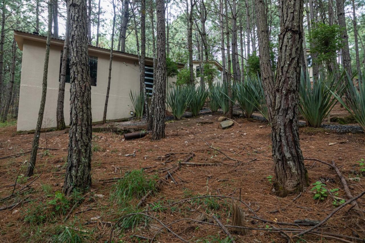 Villa Rincon De Maria Mazamitla Exterior foto